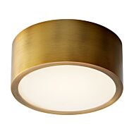 Peepers LED Ceiling Mount in Aged Brass by Oxygen