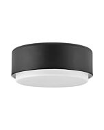 Hinkley Cedric 2-Light Flush Mount Ceiling Light In Black