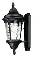 Sentry One Light Outdoor Wall Lantern in Black by Maxim