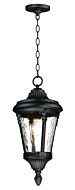 Sentry One Light Outdoor Hanging Lantern in Black by Maxim