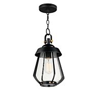 Mariner 1-Light Outdoor Pendant in Black with Antique Brass