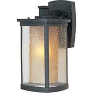 Maxim Bungalow Outdoor Wall Lantern in Bronze