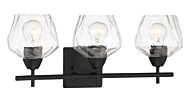 Minka Lavery Camrin 3 Light Bathroom Vanity Light in Coal