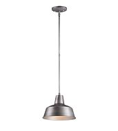 Maxim Lighting Pier M 1 Light 1 Light Outdoor Hanging Lantern in Weathered Zinc