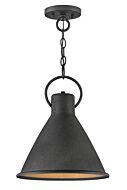 Hinkley Winnie 1-Light Pendant In Aged Zinc