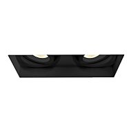 Eurofase Amigo 2 Light Ceiling Light in Black