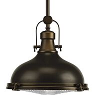 Fresnel Pendant 1-Light Pendant in Oil Rubbed Bronze