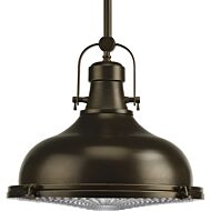 Fresnel Pendant 1-Light Pendant in Oil Rubbed Bronze