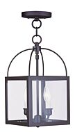 Milford 2-Light Mini Pendant with Ceiling Mount in Bronze