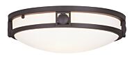 Titania 2-Light Ceiling Mount in Bronze