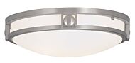 Titania 2-Light Ceiling Mount in Brushed Nickel