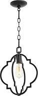 Quorum Dublin Quatrefoil 11 Inch Pendant Light in Noir