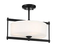 Minka Lavery 4 Light Ceiling Light in Coal