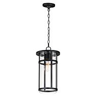 Clyde Vivex 1-Light Outdoor Pendant in Black