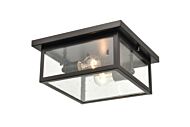 Millennium Evanton 2 Light Outdoor Hanging Light in Powder Coat Bronze