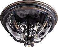 Maxim Lighting Camden VX 3 Lt 8.5 Inch Outdoor Ceiling Mt, Bronze