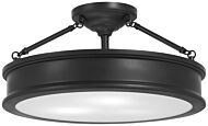 Minka Lavery Harbour Point 3 Light Ceiling Light in Coal