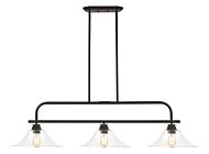 Z-Lite Annora 3-Light Linear Pendant Light In Olde Bronze