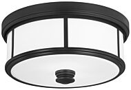 Minka Lavery Harbour Point 2 Light Ceiling Light in Coal