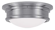 Astor 2-Light Ceiling Mount in Brushed Nickel