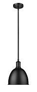 Z-Lite Sawyer 1-Light Pendant Light In Matte Black