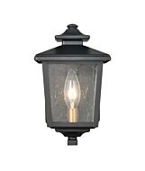 Millennium Eldrick Outdoor Hanging Light in Powder Coat Black