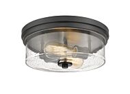 Z-Lite Bohin 2-Light Flush Mount Ceiling Light In Matte Black