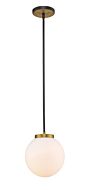 Z-Lite Parsons 1-Light Pendant Light In Matte Black With Olde Brass