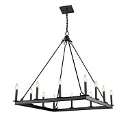 Z-Lite Barclay 12-Light Chandelier In Matte Black