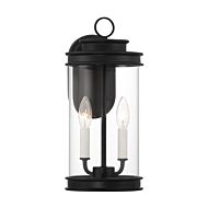 Englewood Two Light Outdoor Wall Lantern in Matte Black by Savoy House