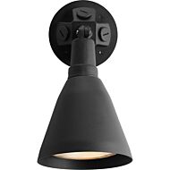 Par Lampholder 1-Light Wall Lantern in Black