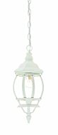 Chateau 1-Light Textured White Hanging Light