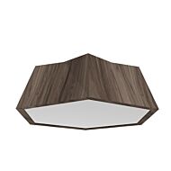 Physalis LED Ceiling Mount in American Walnut