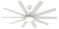 Overton 2-Light 60" Ceiling Fan in Matte White