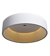 Access Radiant Ceiling Light in White