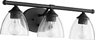 Quorum Brooks 3 Light 7 Inch Bathroom Vanity Light in Noir with