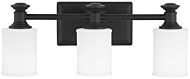 Minka Lavery Harbour Point 3 Light Bathroom Vanity Light in Coal