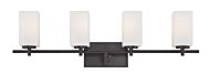 Dakota 4-Light Bathroom Vanity Light Bar in Biscayne Bronze