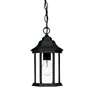 Madison 1-Light Hanging Lantern in Matte Black