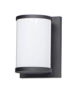 Barrel 1-Light LED Outdoor Wall Sconce in Black