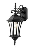 Z-Lite Wakefield 1-Light Outdoor Wall Sconce In Black