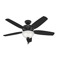 Builder 2-Light 52" Ceiling Fan in Matte Black