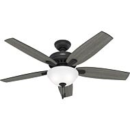 Newsome 2-Light 52" Ceiling Fan in Matte Black