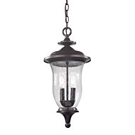 Two Light Outdoor Pendant