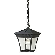 Ridgewood 1-Light Outdoor Pendant in Matte Textured Black