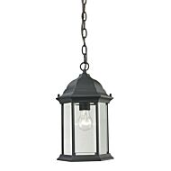 Spring Lake 1-Light Outdoor Pendant in Matte Textured Black