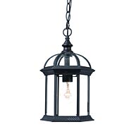 Dover 1-Light Matte Black Hanging Light