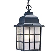 Nautica 1-Light Matte Black Hanging Light