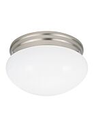 Sea Gull Webster 2 Light Ceiling Light in Brushed Nickel