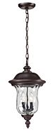 Z-Lite Armstrong 2-Light Outdoor Chain Mount Ceiling Fixture Light In Bronze